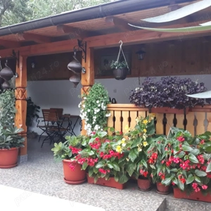 Cazare CASA CU FLORI  Baile Herculane  - imagine 4