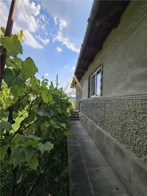 Casa solida, independenta energetic, mutare imediata, 2000 mp teren Targu Trotus - imagine 6