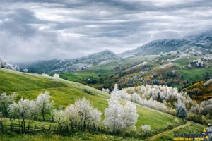 Pensiune  resedinta, in magistral peisagistic, cu 1.000 mp teren, Pestera, Brasov - imagine 2