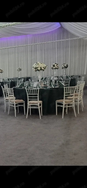 Vand scaune chiavari - imagine 3