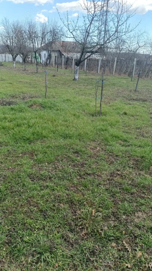 Teren de vanzare 607 