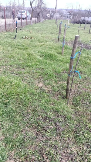 Teren intravilan  de vanzare 607MP Ionesti sat Marcea Jud Valcea - imagine 2