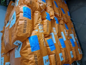 Sămânță Porumb KASHMIR 50 Mk - imagine 2