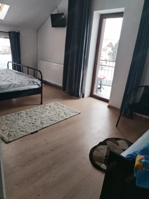 inchiriez canere   - imagine 3