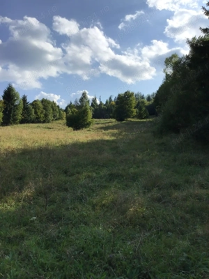 Vand teren in zona Ceahlau - Durau, Neamt - imagine 2