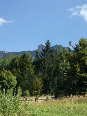 Vand teren in zona Ceahlau - Durau, Neamt - imagine 3