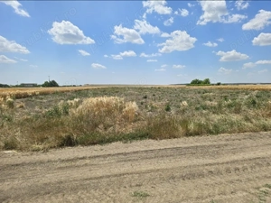 URGENT!! teren 2.120 mp2   23,60   mp2. PREȚ 50.000  - imagine 3