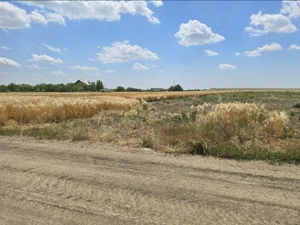 URGENT!! teren 2.120 mp2   23,60   mp2. PREȚ 50.000  - imagine 5