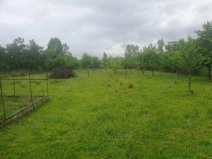 Case la tara si teren de 13.000 mp - imagine 2