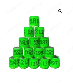 inele de amatori  - imagine 3