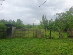 Case la tara si teren de 13.000 mp - imagine 5