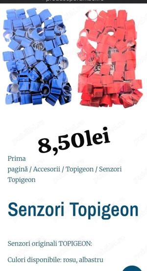 inele de amatori  - imagine 5