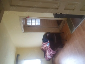 Case la tara si teren de 13.000 mp - imagine 3