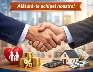 CONSULTANT Financiara  Team Managerul 