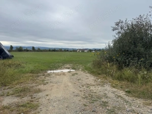 Teren 7630 mp lângă Baia Mare Sacalaseni   ideal investiție   parcelare   dezvoltare - imagine 4