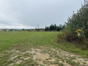 Teren 7630 mp lângă Baia Mare Sacalaseni   ideal investiție   parcelare   dezvoltare - imagine 5