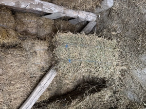 Vand baloti de lucerna