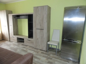 Apartament 1 camera la parter intr-un bloc de apartamente in Vlaicu, renovat, mobilat - imagine 6