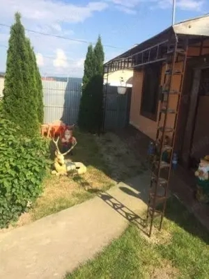 Vand casa în Campu Mare,Gorj - imagine 2