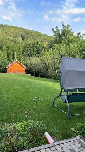 Vand casa S+P+M in zona Tocile - imagine 8