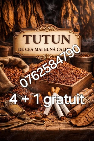 Tutun tocat + FIRICEL
