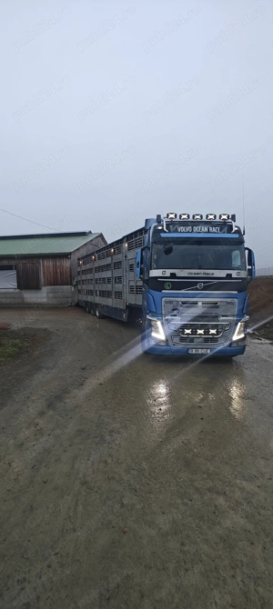 Transport animale vii!!!