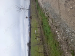 Teren intravilan - imagine 6