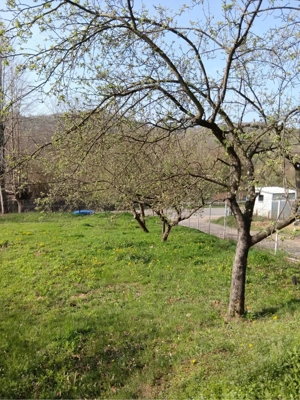 Vand casa batraneasca + teren 1100 mp sat Ulmetu, comuna Varfuri, Dambovita