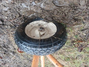 banda transportoare porumb - imagine 4