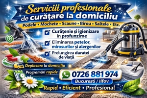 Servici la domiciliu