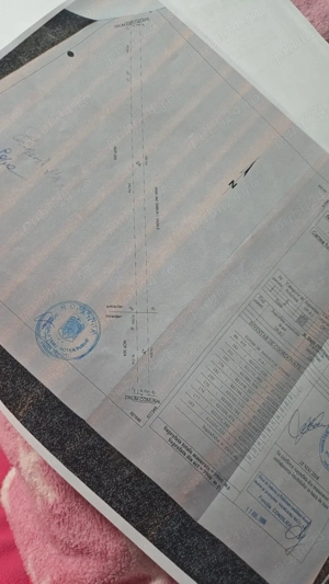 Vând teren în comuna Războieni Jud. Neamț, 9900mp, lângă primărie - imagine 2