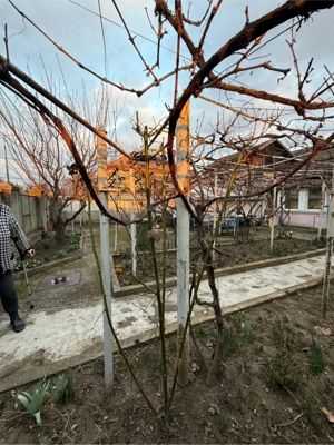 CASA Complex studentesc 