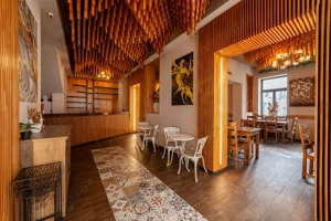 Spatiu comercial premium in vila – Bd. Republicii, Pitesti - imagine 2