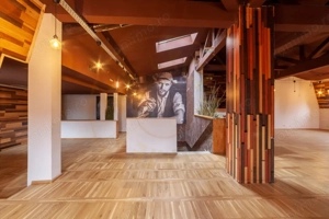 Spatiu comercial premium in vila – Bd. Republicii, Pitesti - imagine 13