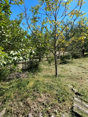 De vânzare teren zona Gh Doja