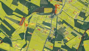Teren Tohanul Nou 4500mp, in spate Wolf - imagine 15