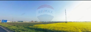 Teren comercial 5 ha, PUZ aprobat, acces direct Centura Nord Arad - imagine 11