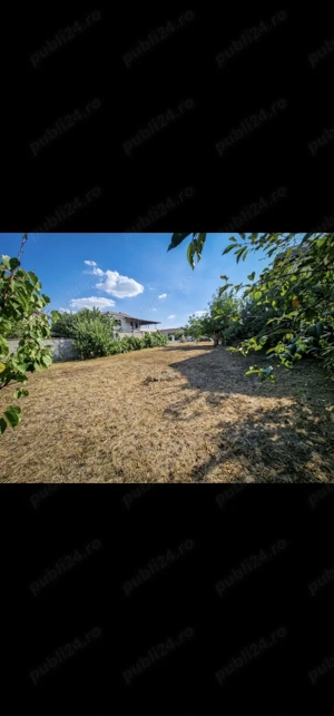 Teren Dumbrăviţa, zona centrală !