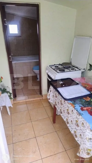  Oportunitate investițională – Casă cu teren extins in Comuna Geaca  - imagine 13