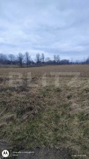  Oportunitate investițională – Casă cu teren extins in Comuna Geaca  - imagine 17