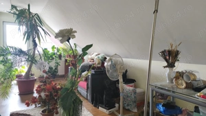 Casa in Deva, zona 22 Decembrie- Balcescu - imagine 16