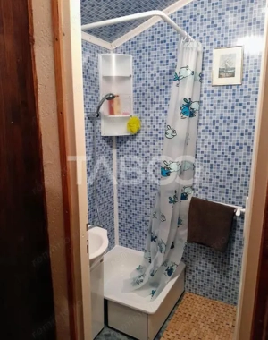 Casa de vacanta cu vedre spre munti  curte de 640 mp in Tropinii Noi  - imagine 10