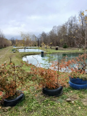 Păstrăvărie si domeniu 13500mp - imagine 2