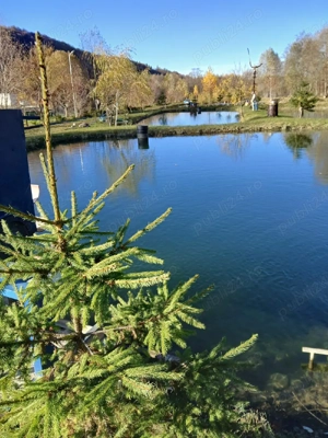 Păstrăvărie si domeniu 13500mp - imagine 3