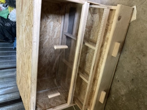 Maternitate de pui de vânzare 