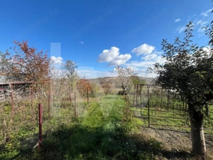 Casa cu poveste si potential – locul perfect pentru un nou inceput in Seica Mare - imagine 15