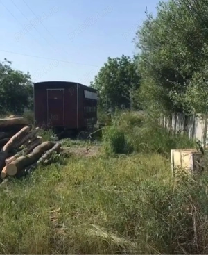 Pavilion apicol si lazi albine