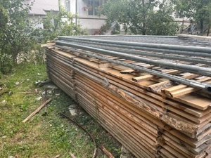 cherestea uscata - imagine 2