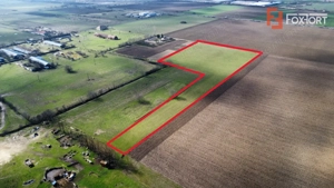 Teren intravilan 2 hectare in Padureni – oportunitate investitie sau dezvoltare