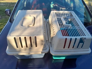 Cusca pentru cărat pisici - imagine 2